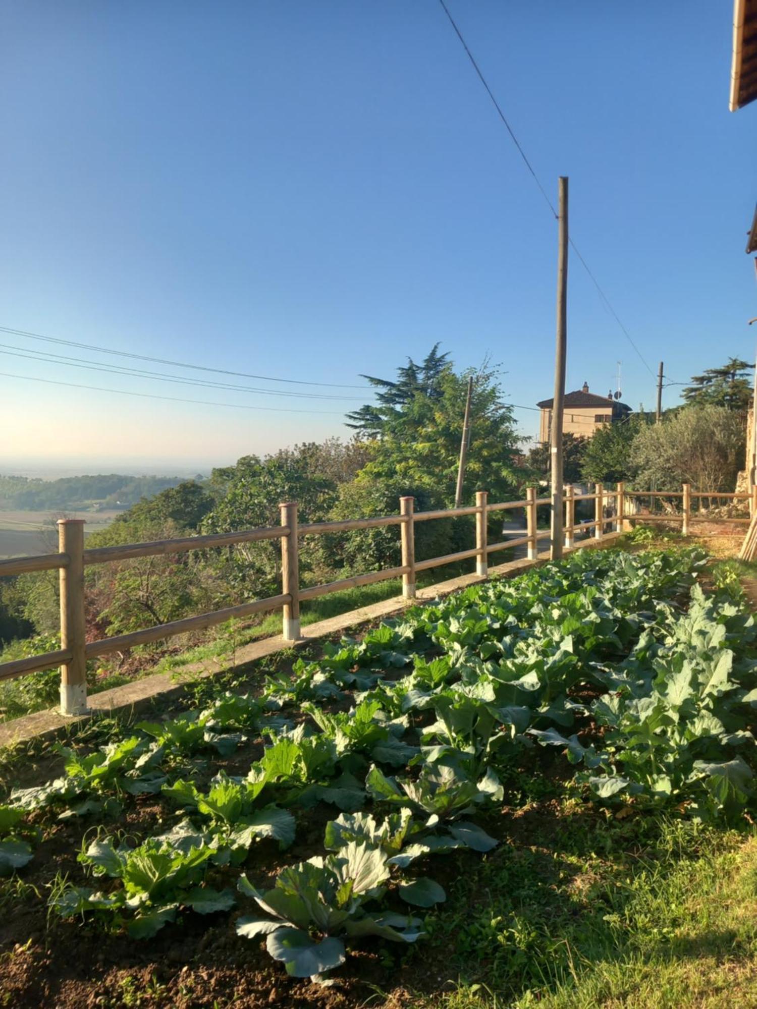Il Cortile Di Greta Bed & Breakfast Lu (Piedmont) Exterior foto